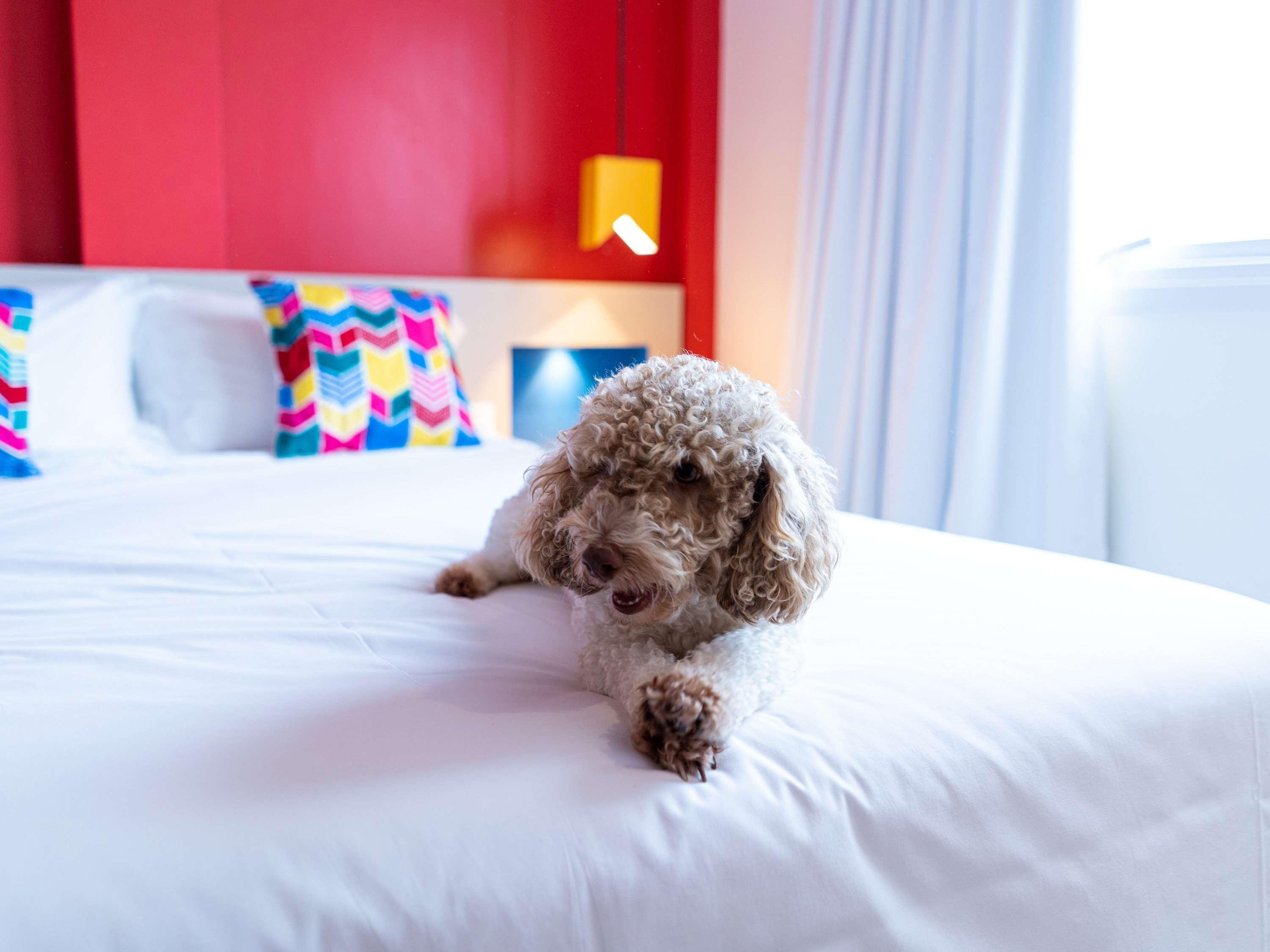 Hotel ibis Styles Campina Grande Exteriér fotografie